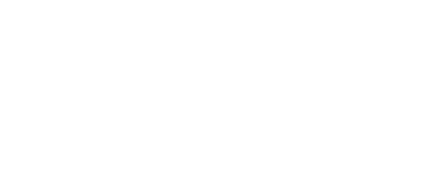 Summit Consulting International, LLC